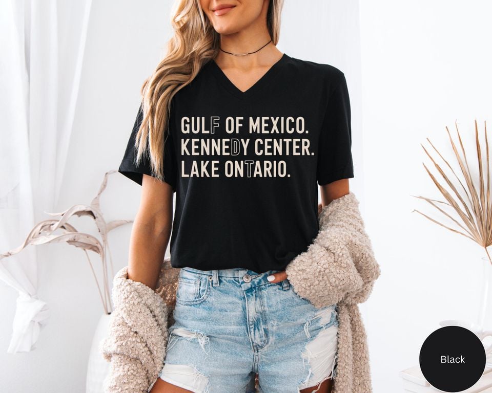 FDT Lake Ontario Kennedy Center V-Neck Shirt, Funny Protest Tee, Anti-Tr*mp Pro-Democracy Activism Gift, Great Lakes Tee, Subtle FDT Shirt