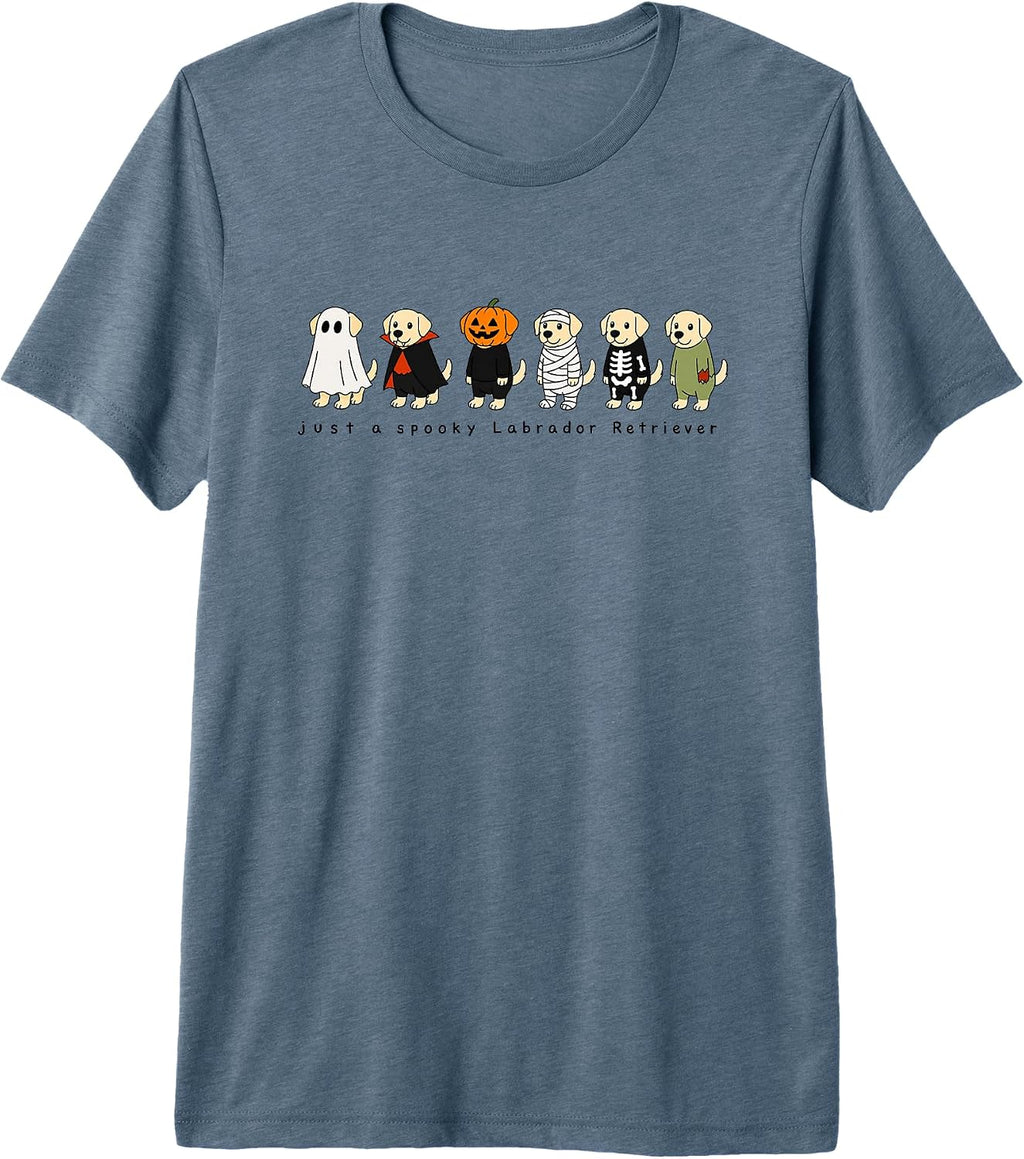Labrador Retriever Dog Lover Spooky Fall Halloween Graphic Premium Tri-Blend T-Shirt