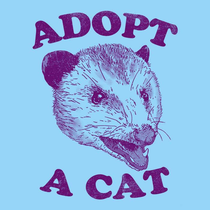 Adopt a Cat