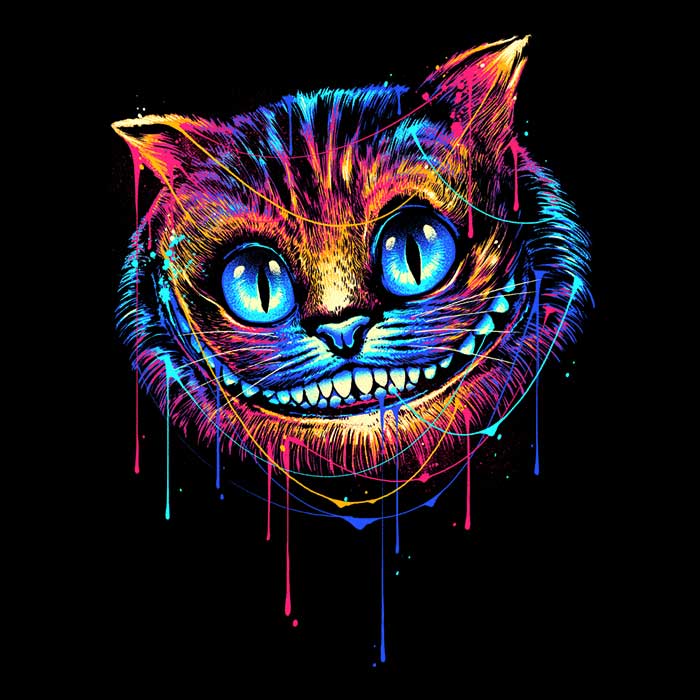 Colorful Cat - Youth Apparel