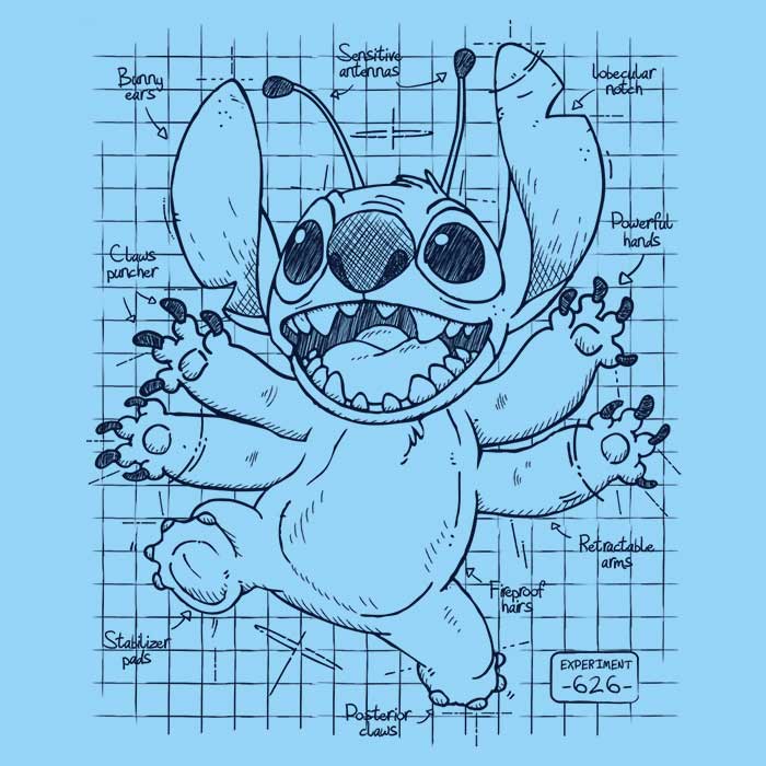 Experimental Plans - Ringer