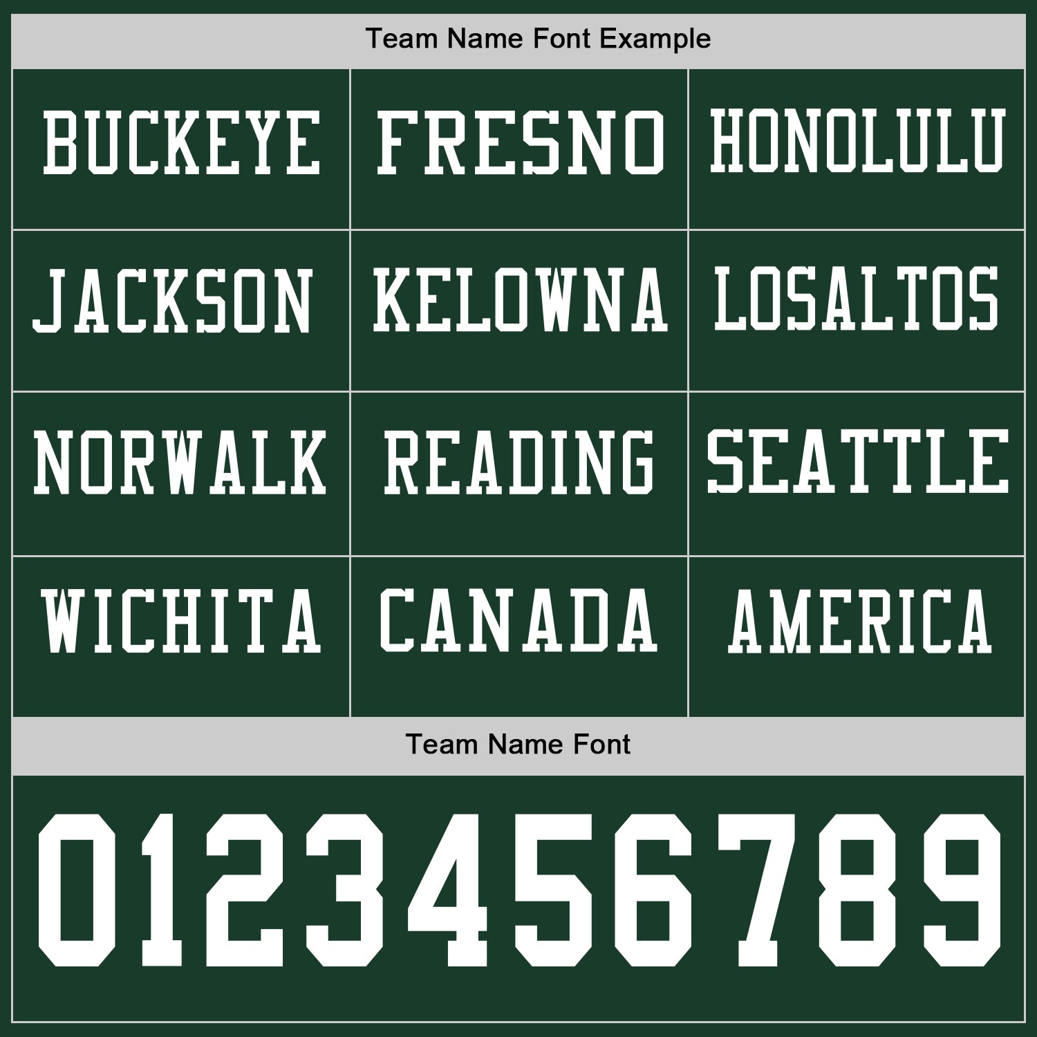 Custom Green White Long Sleeve Authentic Football Jersey