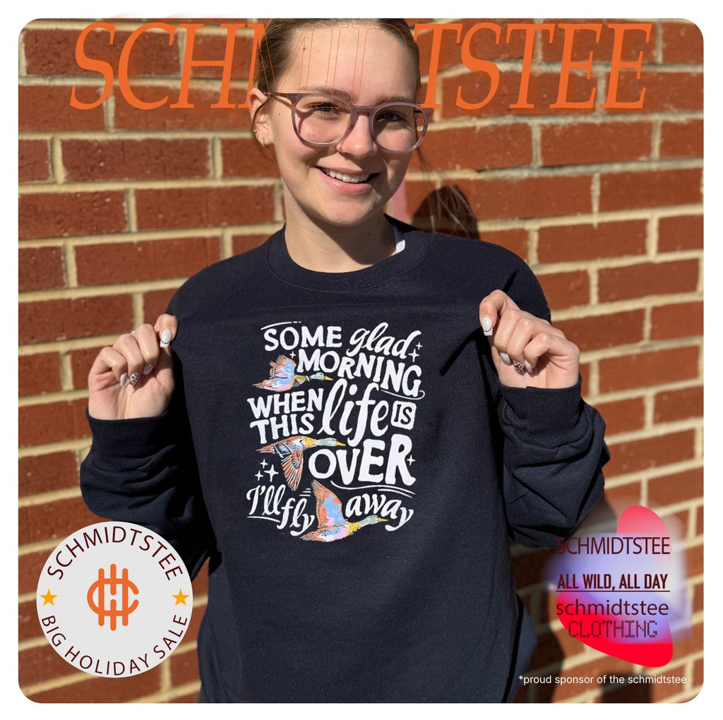 Some glad morning when this life is over I’ll fly away shirt