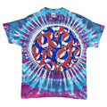 GRATEFUL DEAD 1995 DEAD BEAR LOGOS TIE DYE anvil LARGE 6781