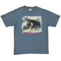 Budweiser THEY ALWAYS DO THAT? HORSE SLATE WILD OATS LARGE 5238