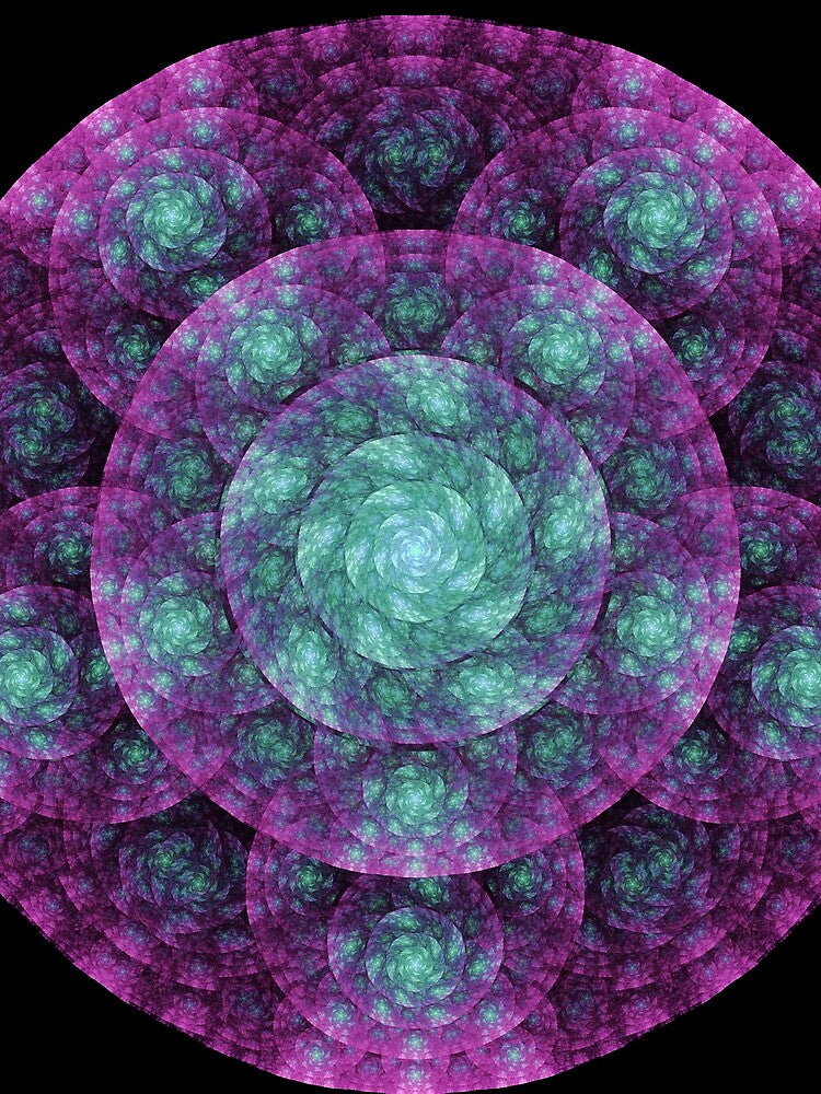 Organic Spiral by Garrett Spear