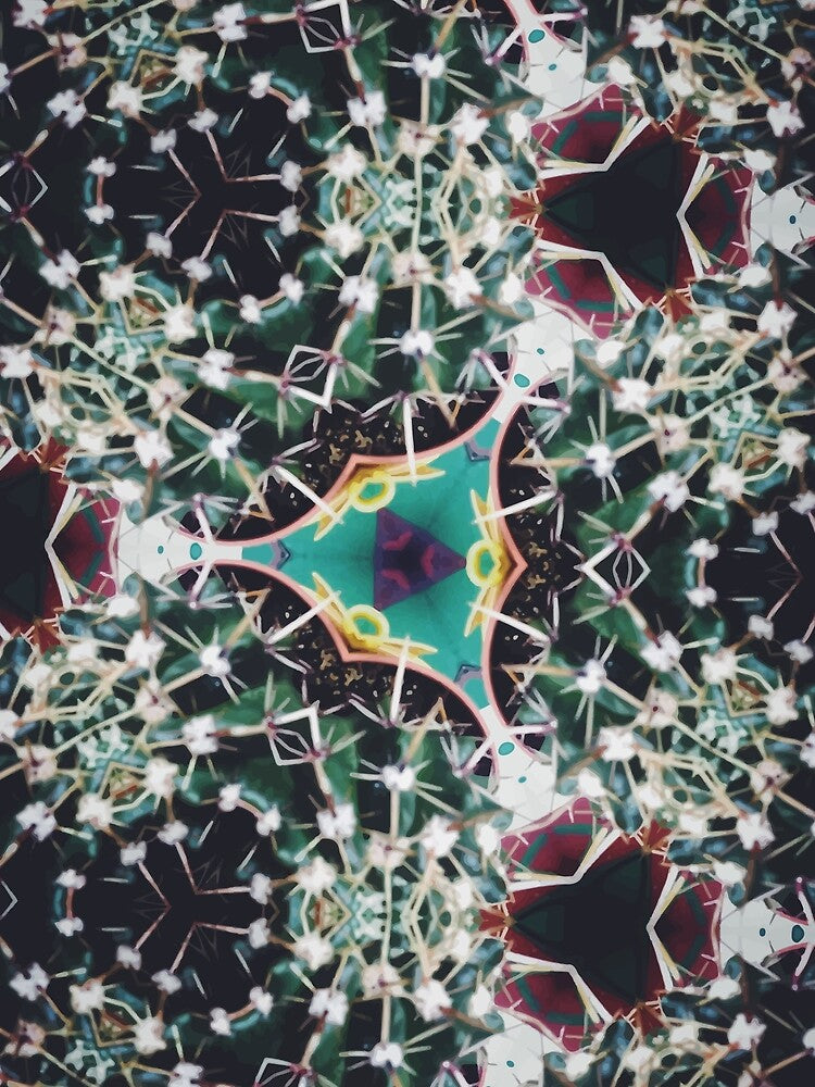 Cacti pattern k.1. by monicamarcov