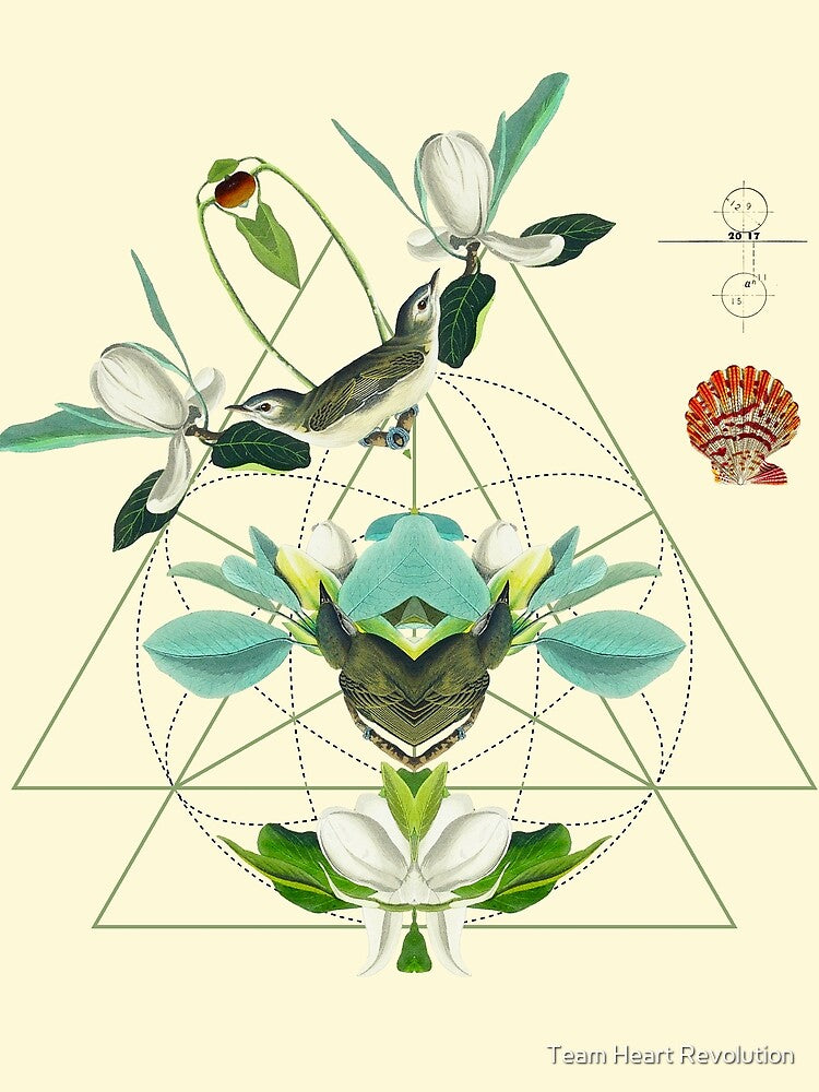 Spiritual Nature & Birds of Life by Team Heart Revolution