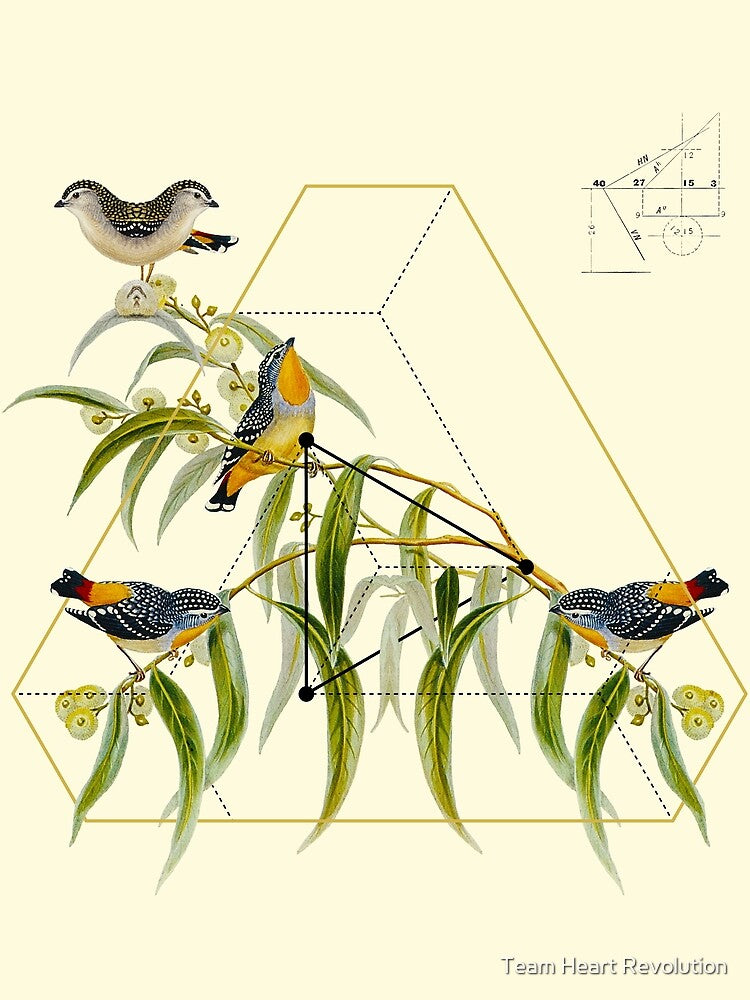 Sacred Geometry of Nature & Birds of Life 3 by Team Heart Revolution