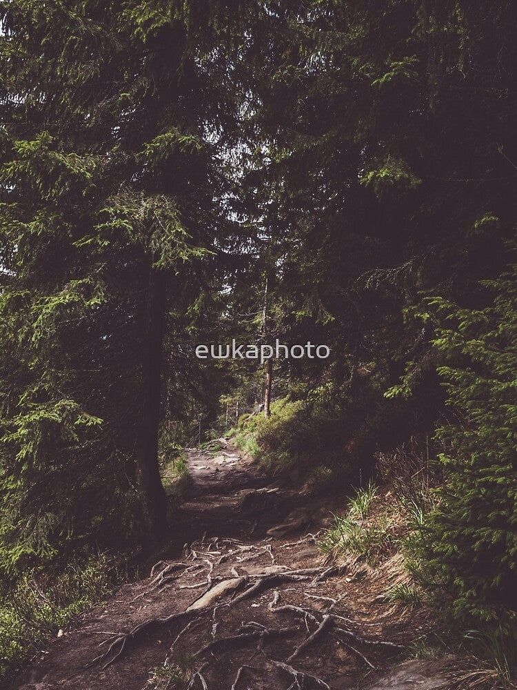 Back on the trail by ewkaphoto