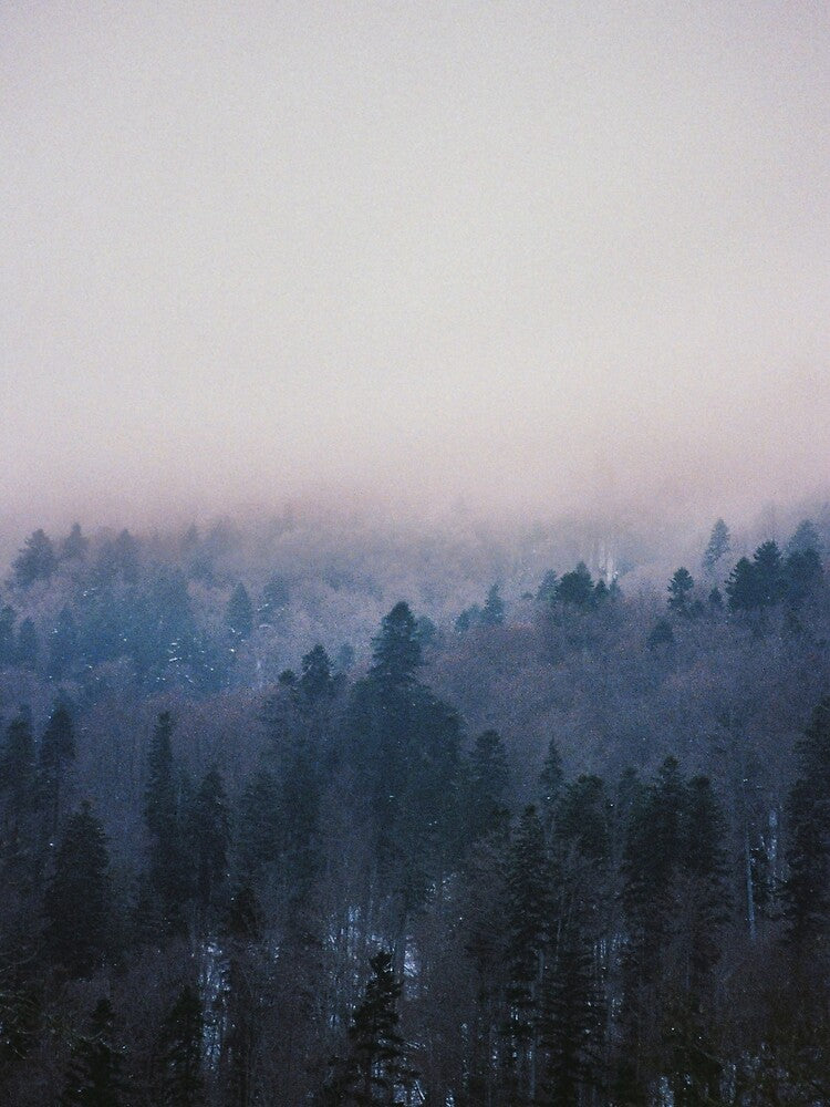 Home again by monicamarcov