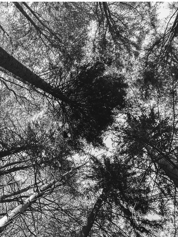 Forest spirit by monicamarcov