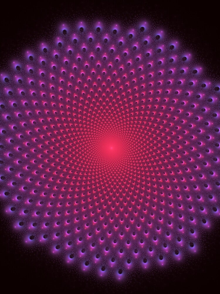 Fractal Flower Red by Garrett Spear