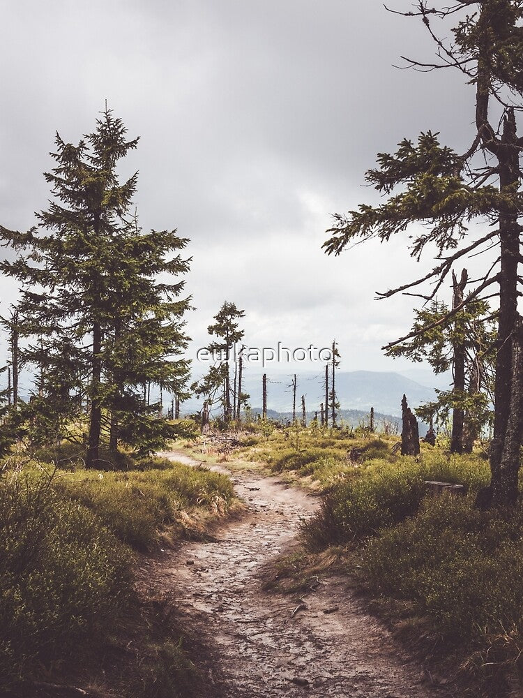 Over the mountains and through the woods by ewkaphoto