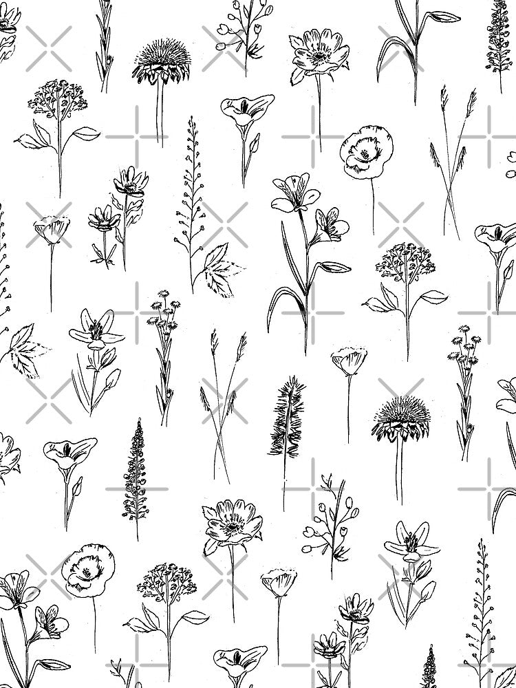 Patagonian Wildflowers by Anis Illustration