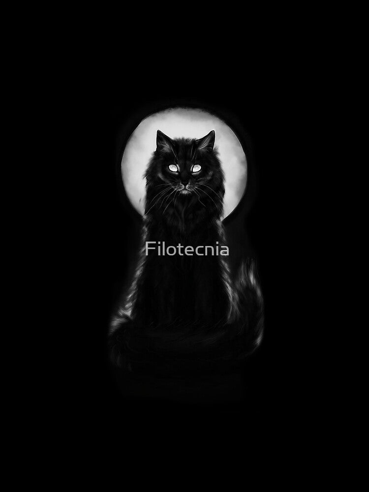 Full moon and black cat by Filotecnia