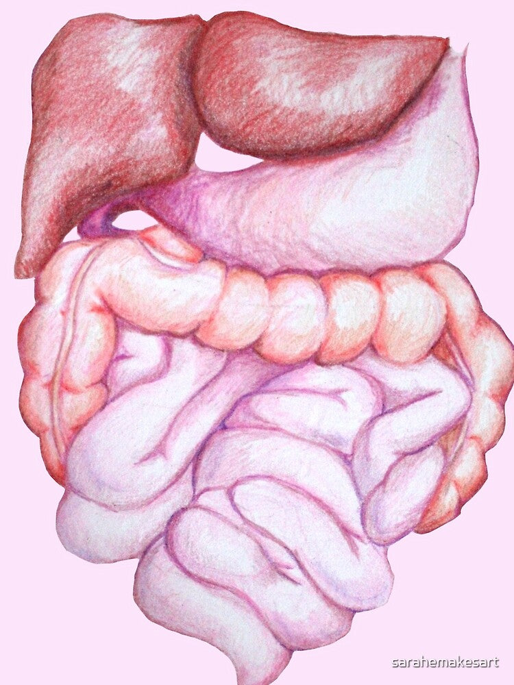 Pastelintestinal by sarahemakesart