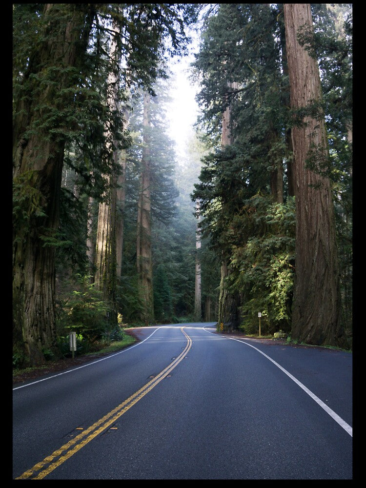Oregon Back Roads by Explore The Wilds