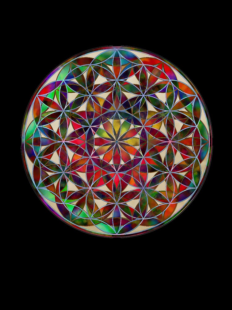 FLOWER OF LIFE by Klara Acel
