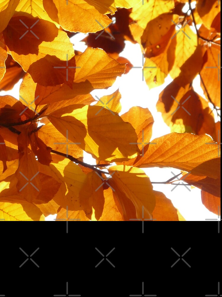 Autumn fall brown orange yellow themed garden leaves by TheSeasonalYard