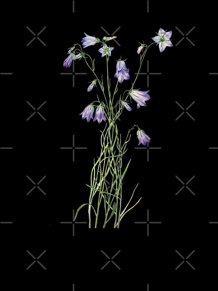 Wildflowers, Purple Flowers, Iris by grandlovely