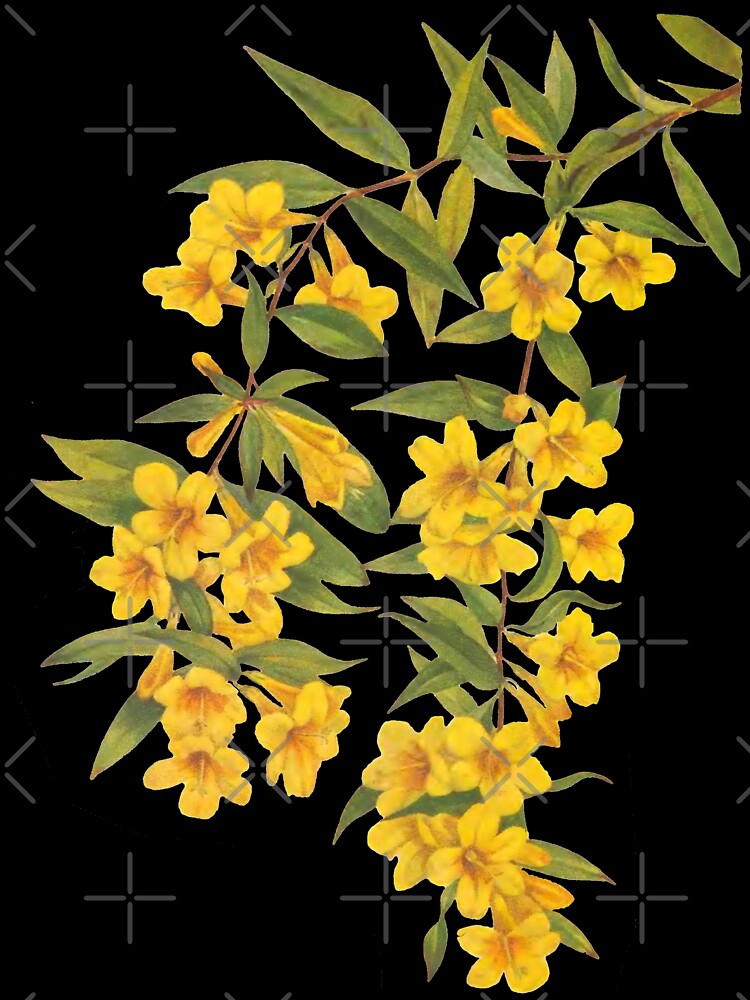 Yellow Wildflowers Botanical Print by Veriepear