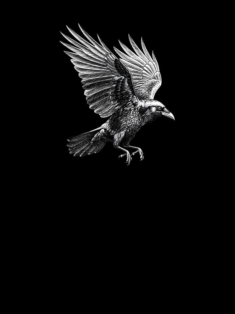 Raven by Naux | Design & Illustration