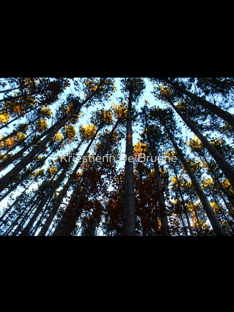 Up Into the Trees by Kriestienn De Bruyne