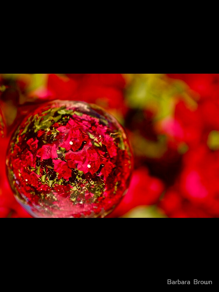 Bouganvillea Bubble by Barbara  Brown