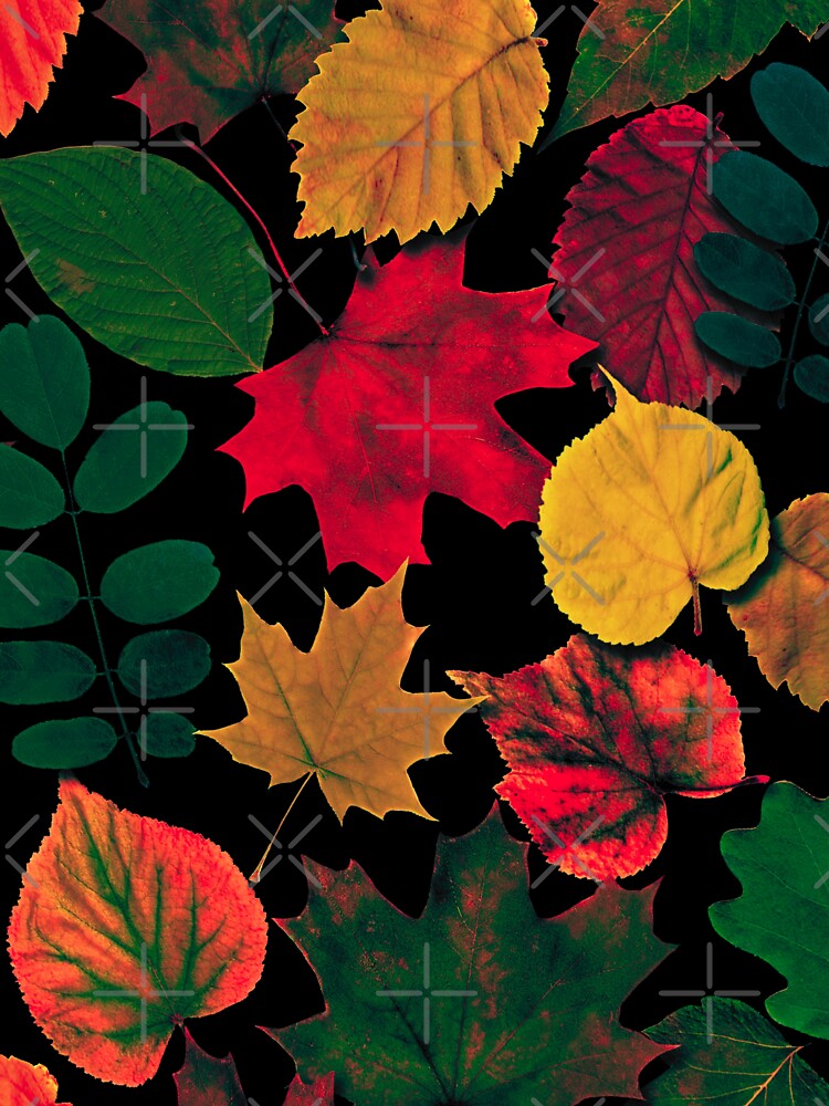 Falling Autumn Leaves trendy bright,vibrant colors pattern by cutecrazytshirt