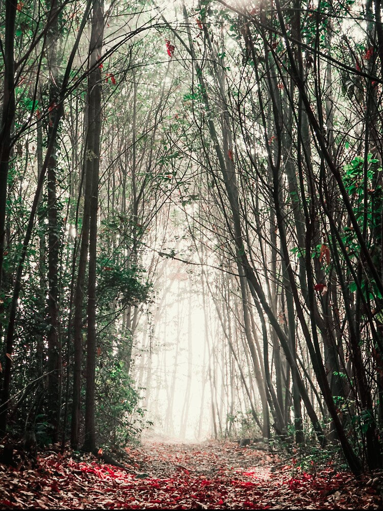 Road into the Light by Cool-Cat-POD