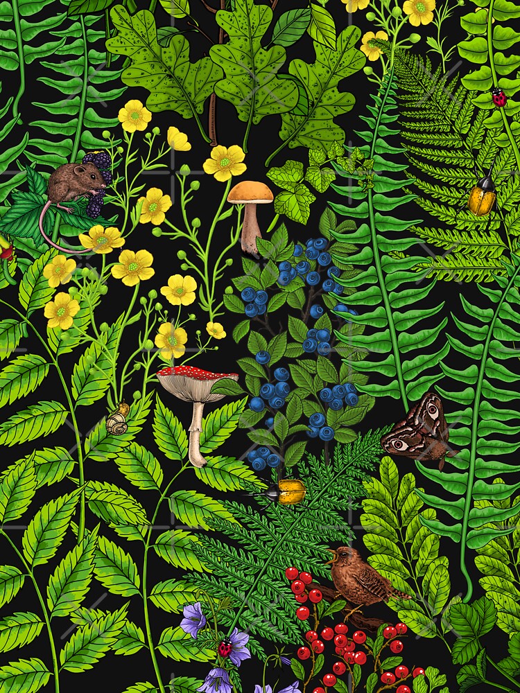 Forest fauna and flora by Katerina Mitkova Kirilova