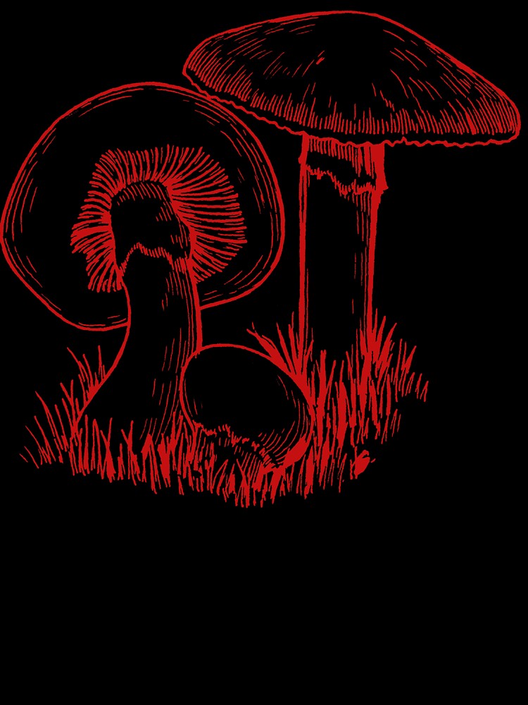 Vintage Red Mushroom by redflowerpixel