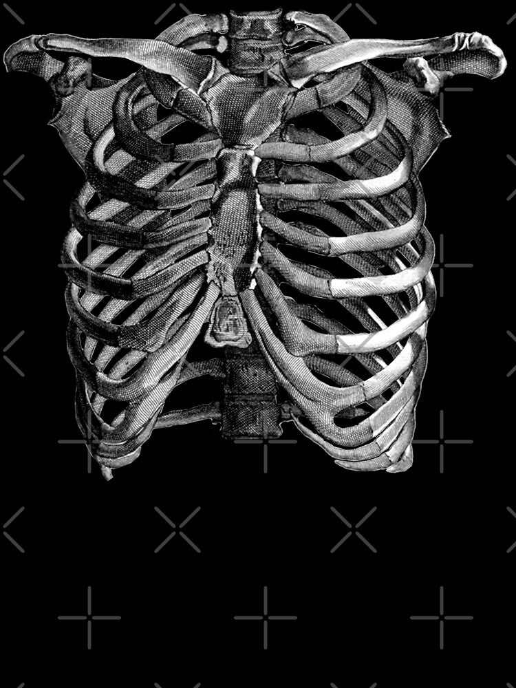 Vintage Skeleton Ribcage Torso Cool Monochrome Illustration Look by TrulyEpoque