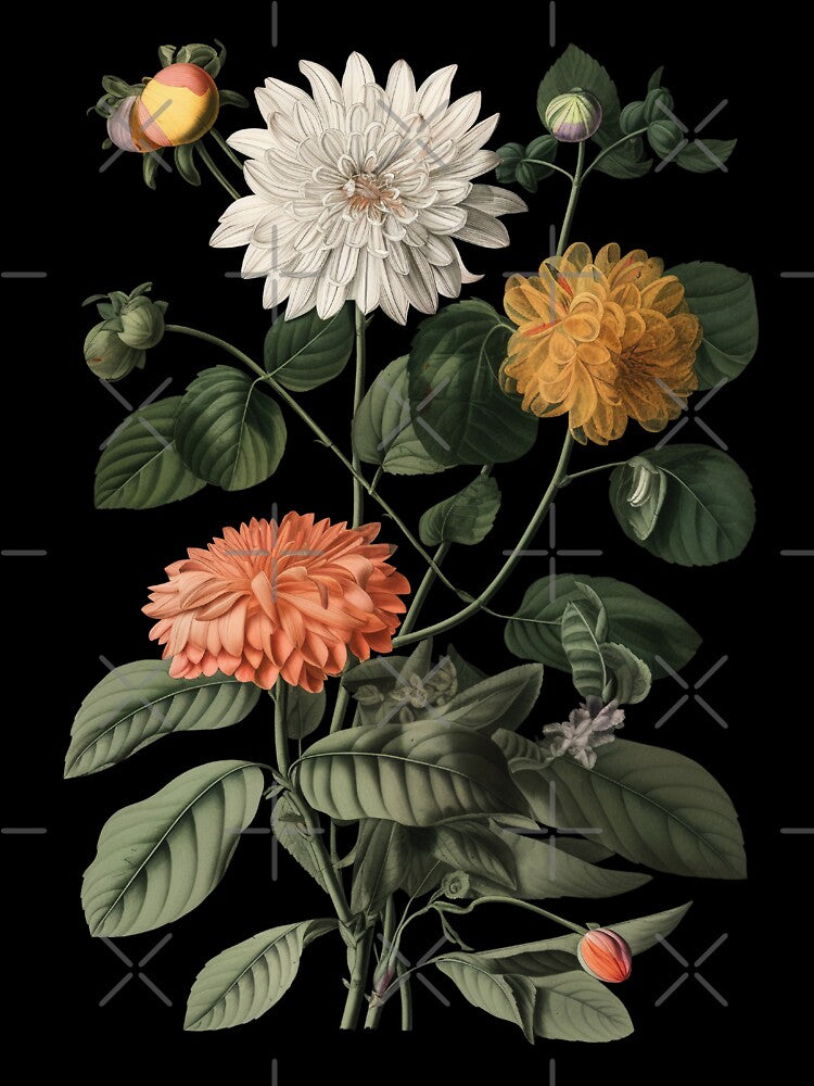 Dark Victorian Botanical Poster by Enyr