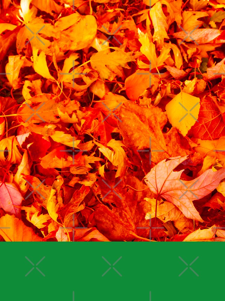 Beautiful, Stunning, Gorgeous, Colorful Orange and Yellow Fall Leaves Photography by Victoria Rose
