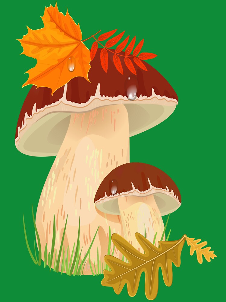 mushroom autumn by RedShop24