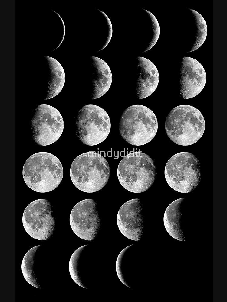 Lunar Phases by Sasha Art Gallery