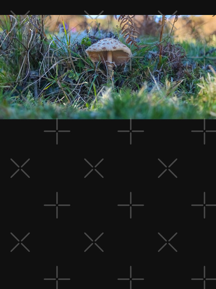 mushroom by ricobarinas