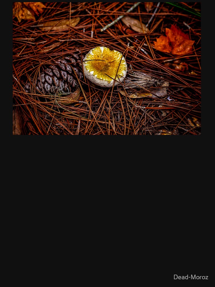 Mushroom Bliss by Dead-Moroz