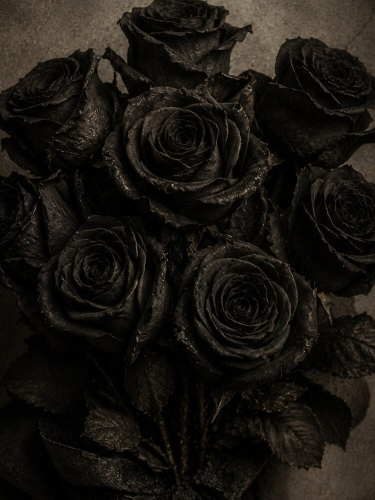 Black Gothic Roses by VelarisMoon