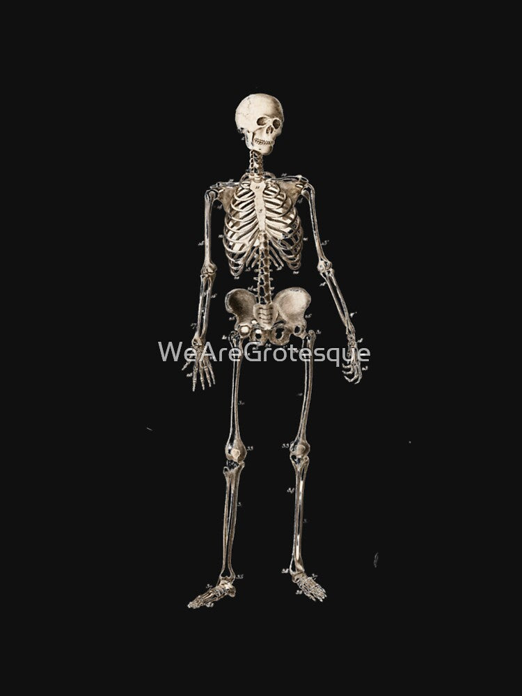 Vintage Halloween Anatomical Skeleton Drawing | I Love Halloween | Spooky by WeAreGrotesque
