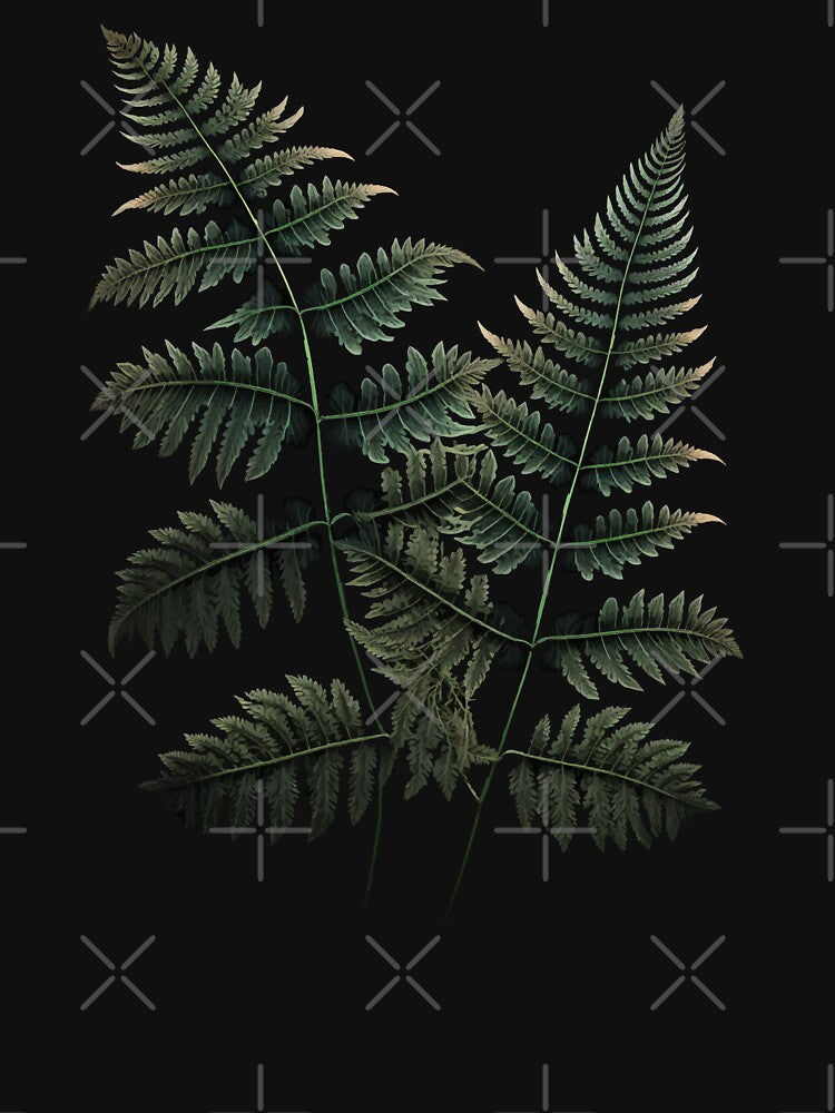 Fern Leaves Botanical Illustration by Enyr