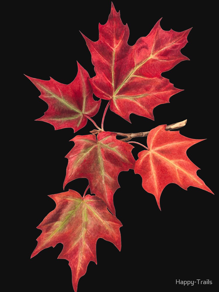 Autumn Leaves Vintage Illustration by Mary Vaux Walcott by Happy-Trails