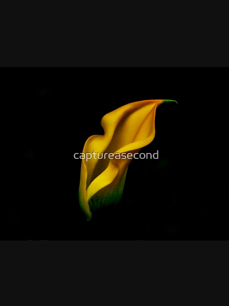 Yellow Lily Flower by captureasecond