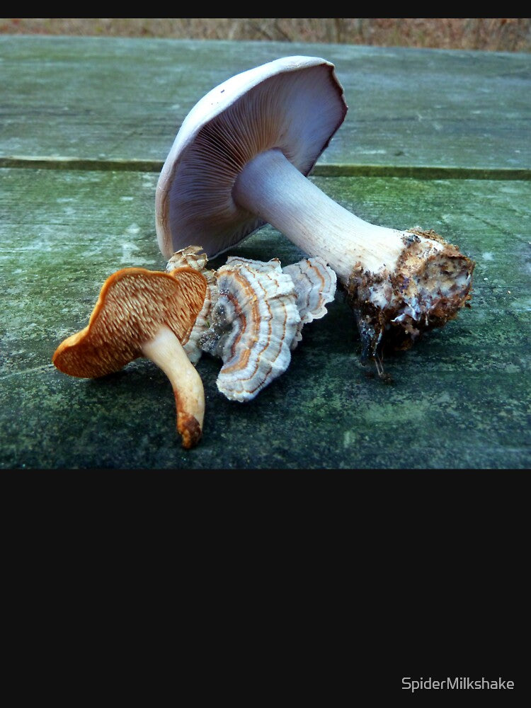 AUTUMN MUSHROOM HARVEST by SpiderMilkshake