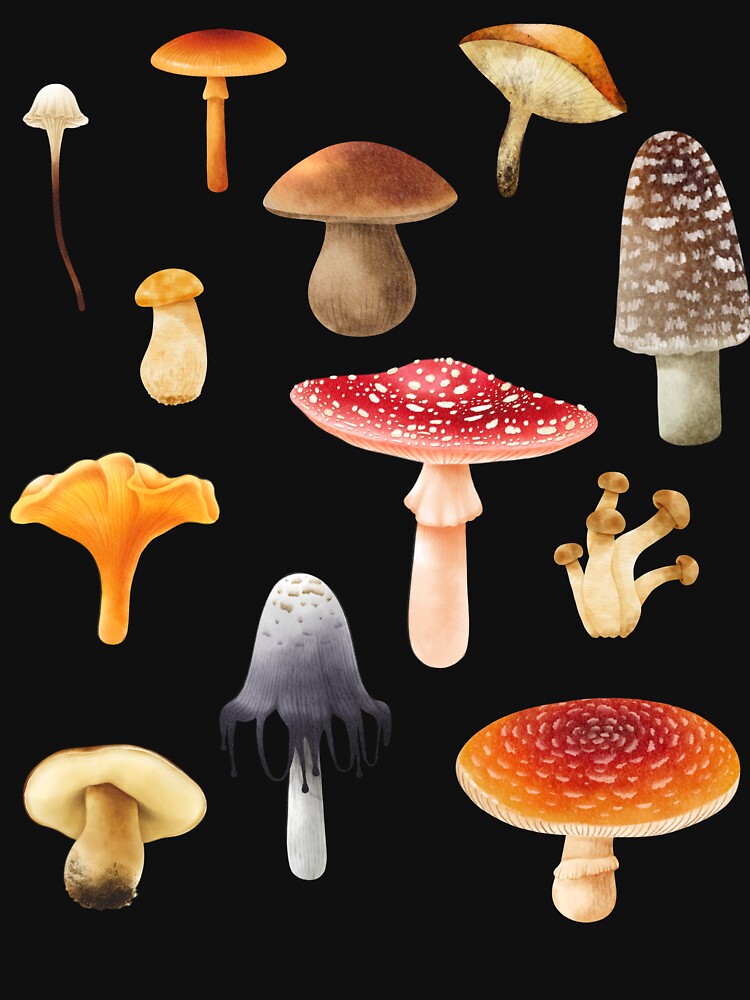 Mushrooms by AnulaArt