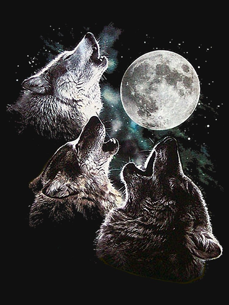 3 Phases Of The Moon Essential T-Shirt by janlzmaude