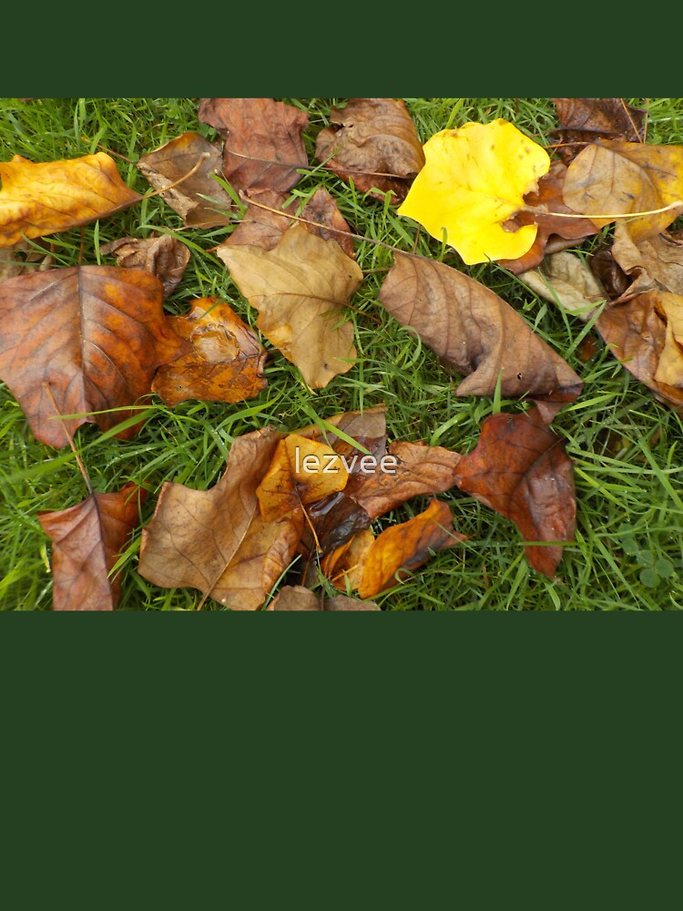 Bronze and Gold Autumn Leaves by lezvee