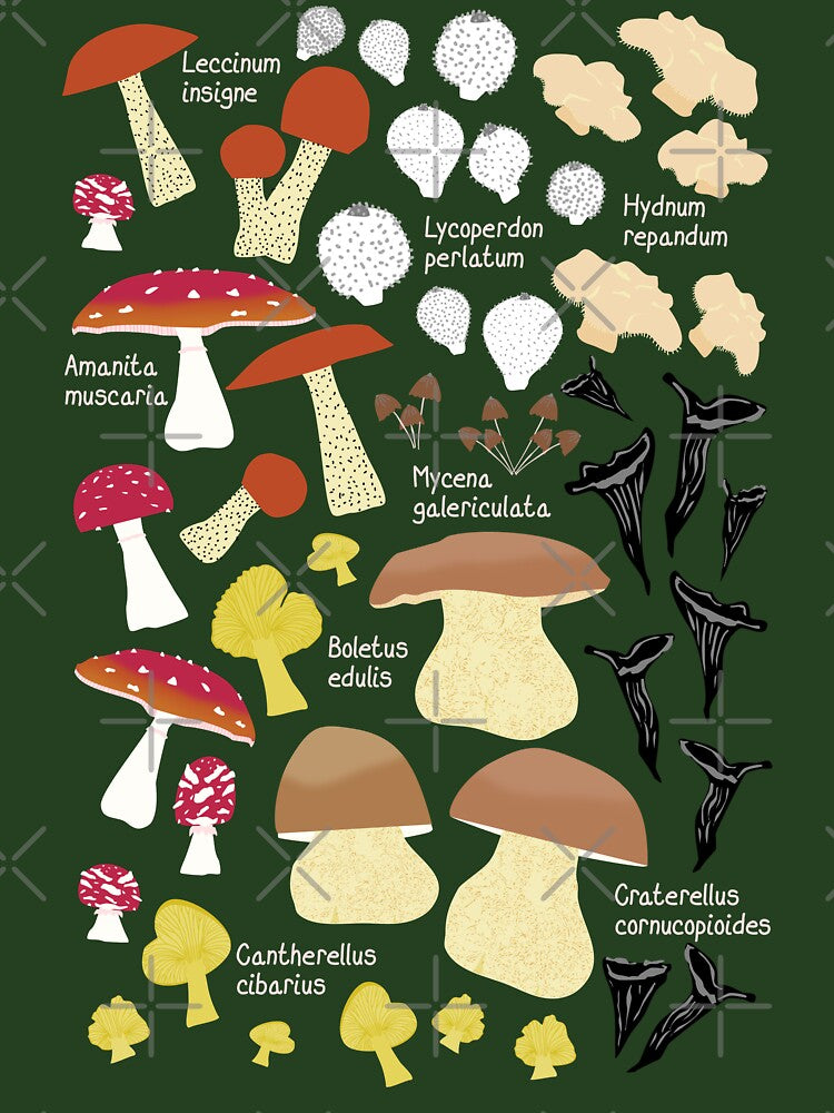 8 Scandinavian Autumn Mushrooms - vintage brown by Ingrid Poole